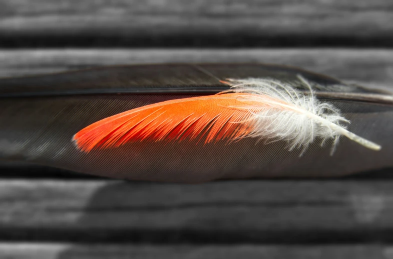 a feather floating down on top of a bed