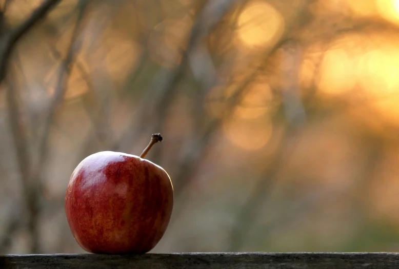 the apple is sitting on a ledge in front of the trees