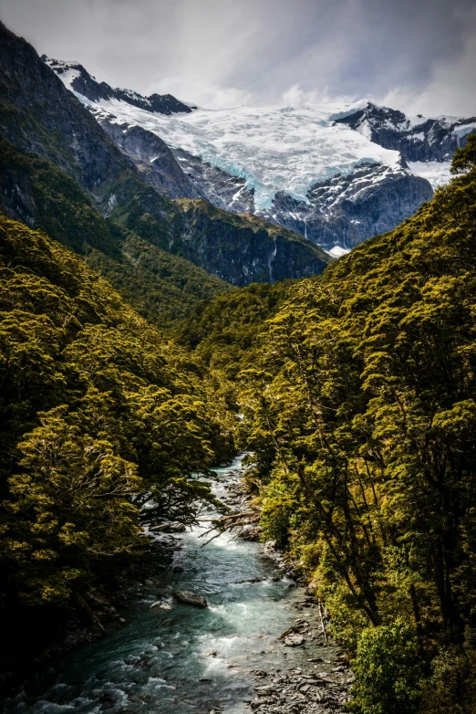 a stream is running through the mountains with trees on either side