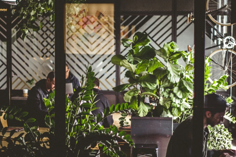 people in a dark room with a variety of potted plants