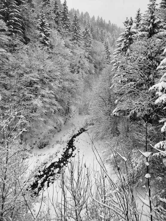 a road is surrounded by trees on a hill