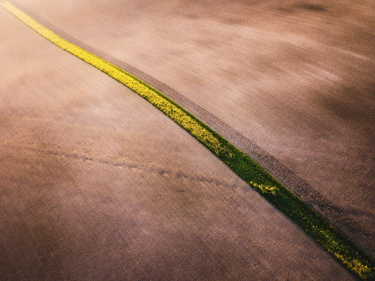 a yellow strip is on the road near grass