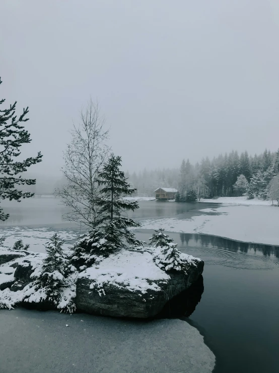 the shore of a lake in winter, surrounded by trees and snow