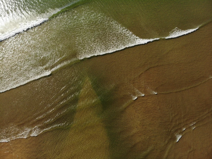 the ocean is very sandy and deep green