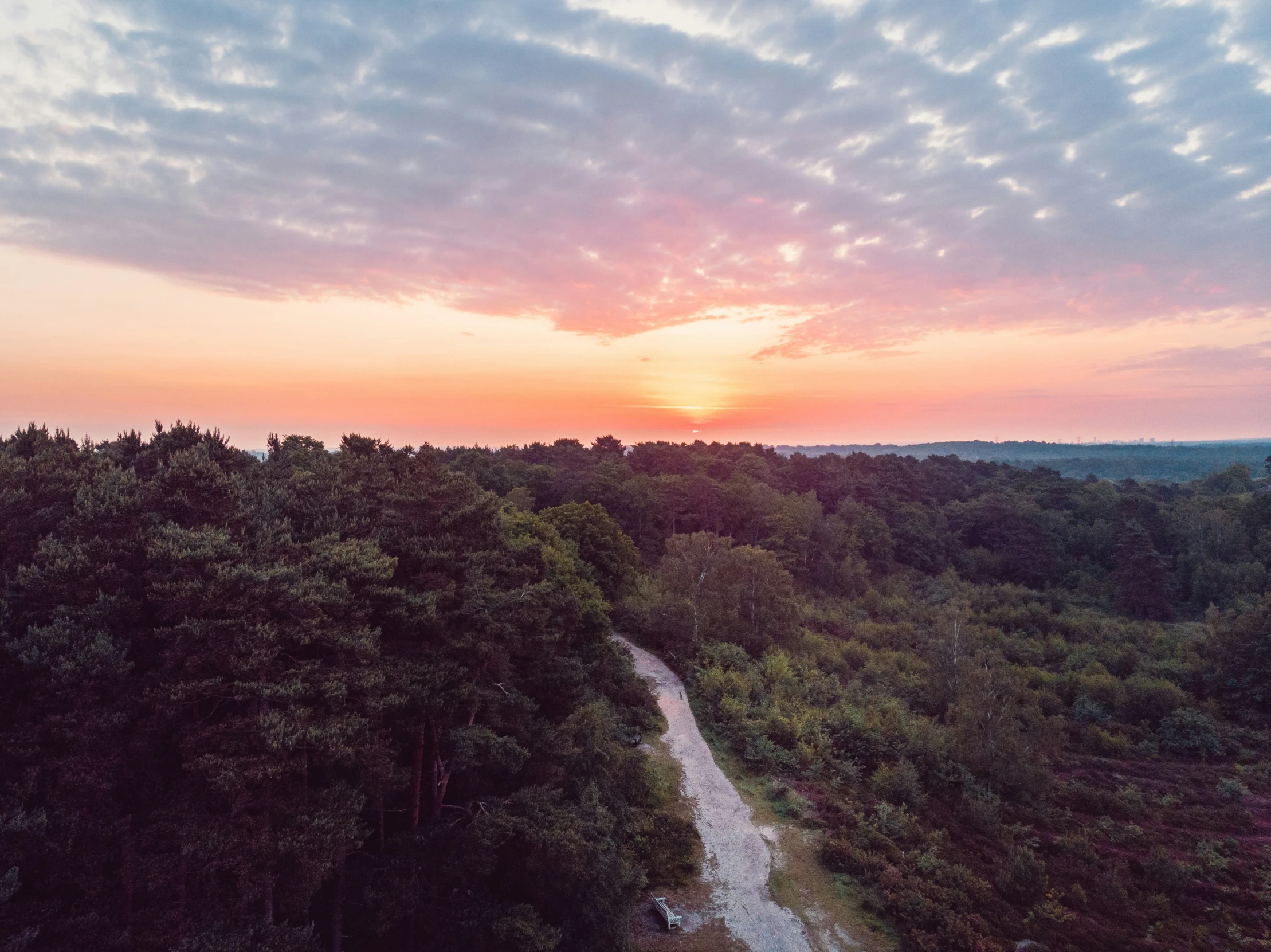 a sunset over a winding road with trees in the background