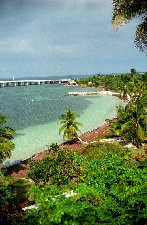 a pier on the ocean next to palm trees and a sandy beach