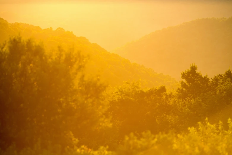 a horse stands on some vegetation with the sun coming down behind the mountains