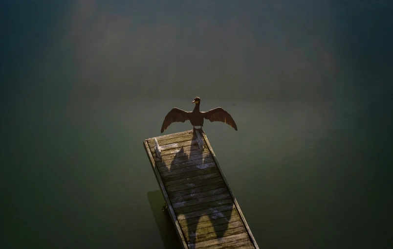 there is a bird that is perched on top of a wooden structure