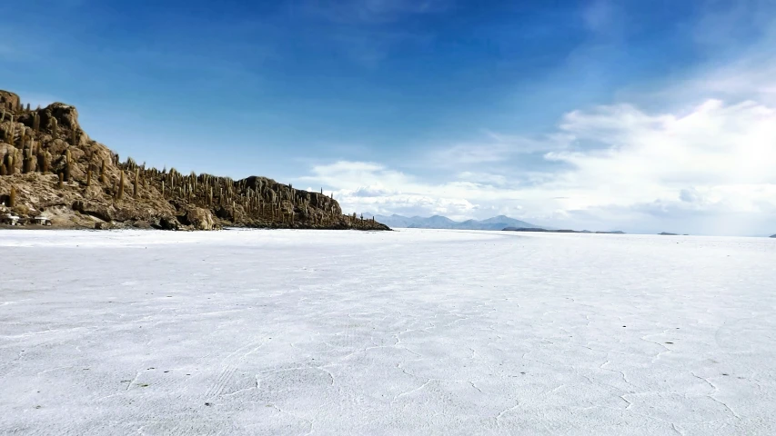 the view looking up to a mountain in the distance