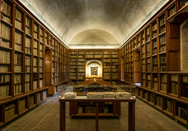 a liry filled with lots of books and a table on top of it