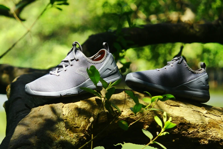 pair of sneakers sitting on a tree nch beside a stream