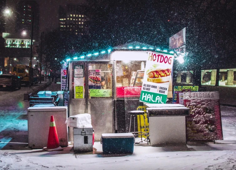 an out door  dog stand on a snowy day