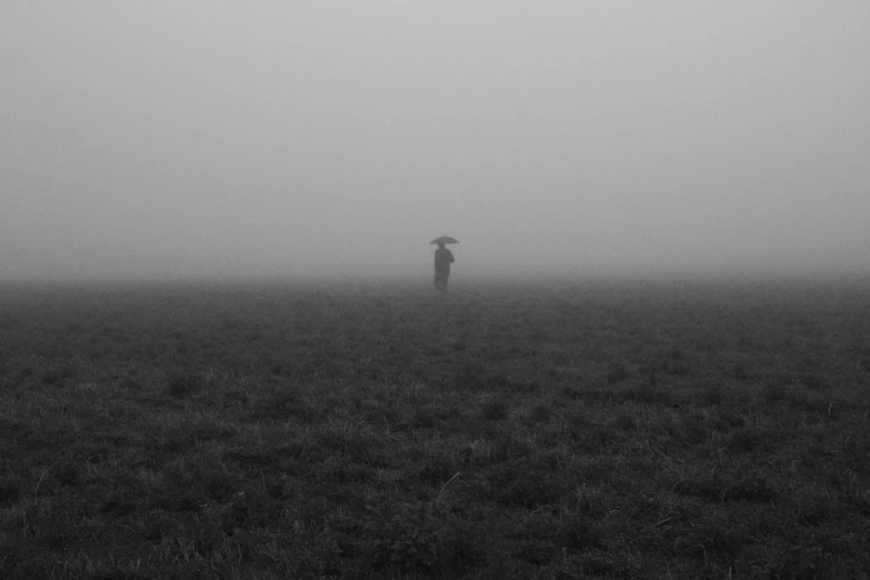 a person with an umbrella in the foggy field