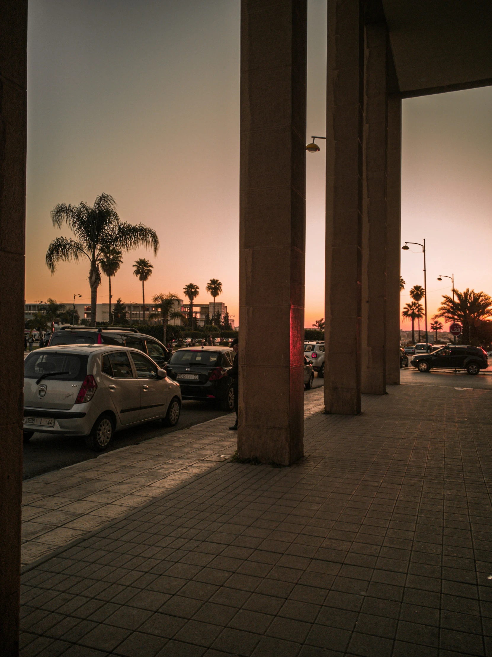 the sun setting over palm trees and parked cars