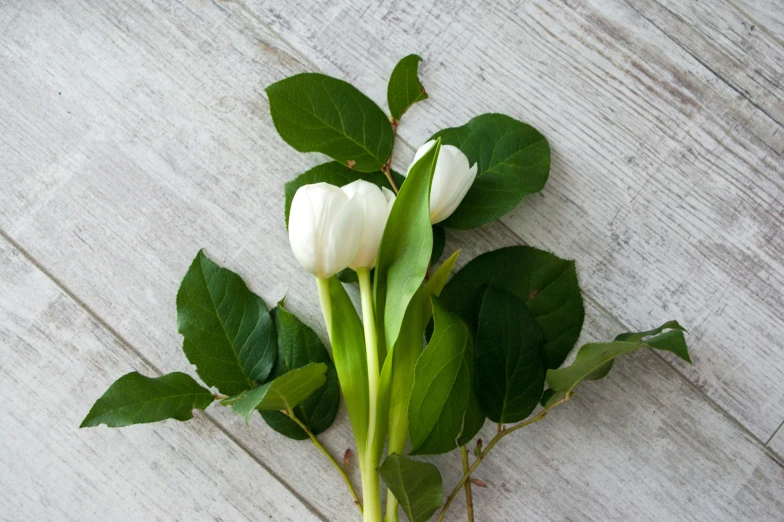 flowers arranged on a white table with leaves