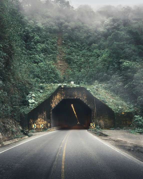 road going out into the woods, with fog coming from the tunnel