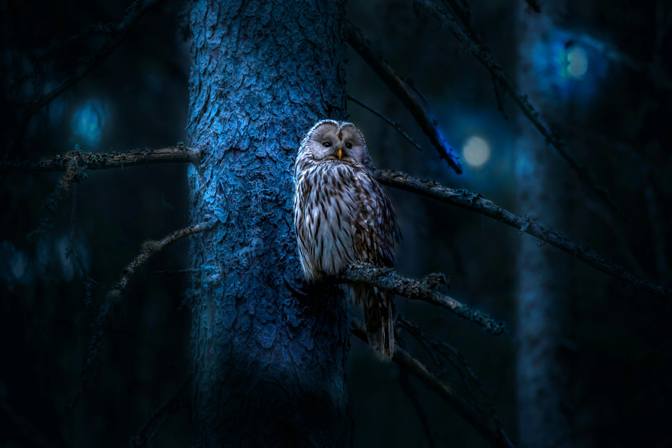 a brown owl perched on a tree nch