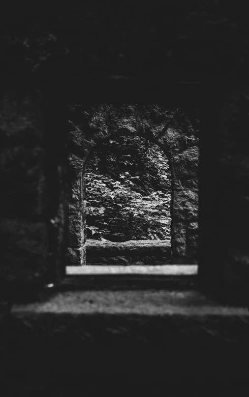 view through a window in the woods at dusk