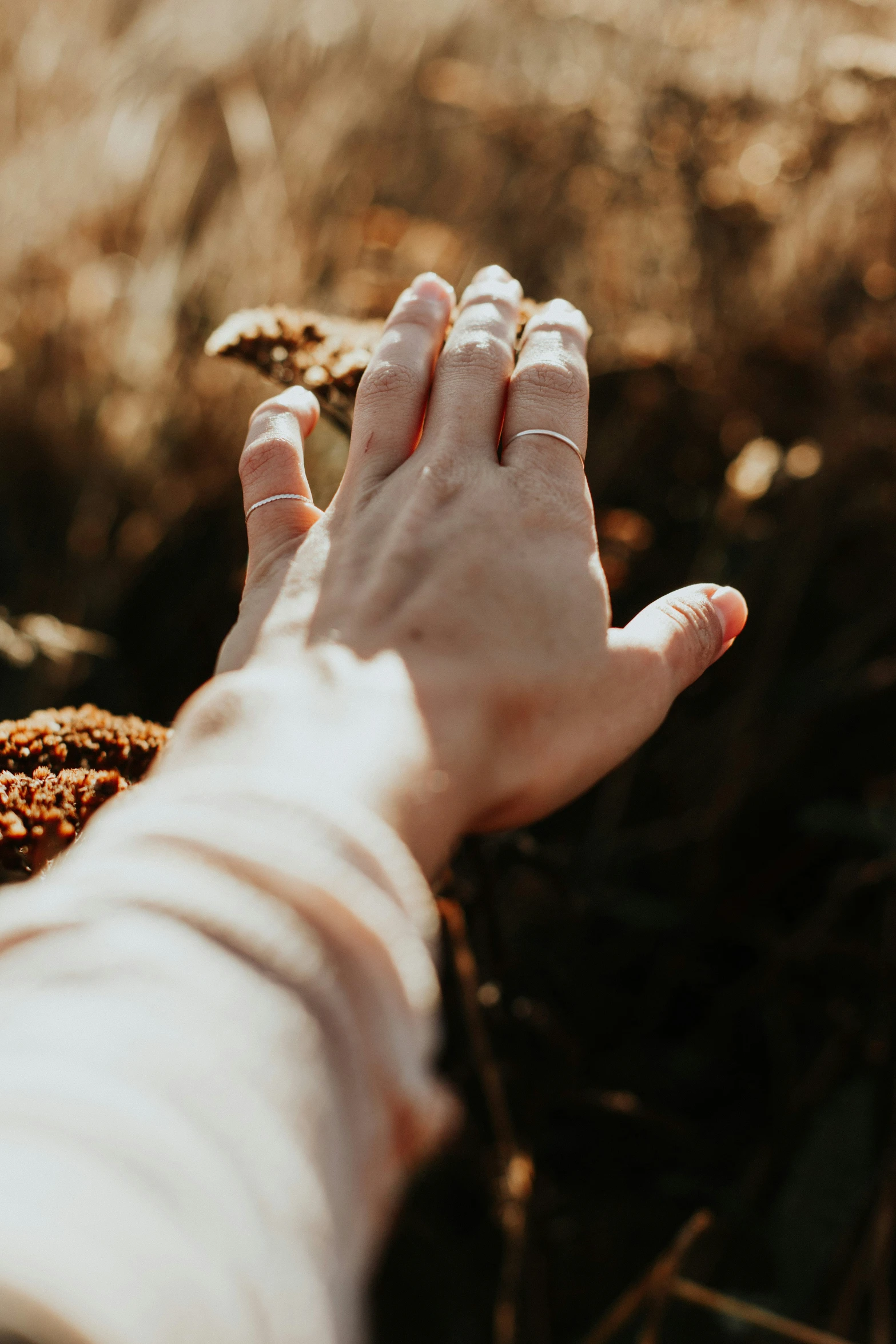 a close up of a person's hand on a ground