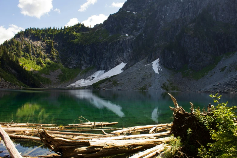 a rocky cliff with water in the foreground and several trees on either side