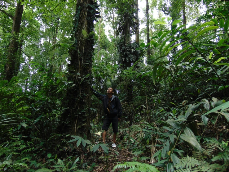 a man in the middle of the forest looking back