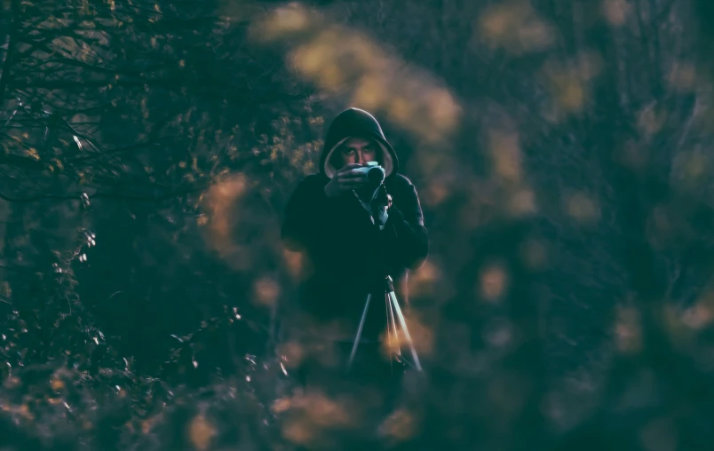 a person is taking a po through the woods