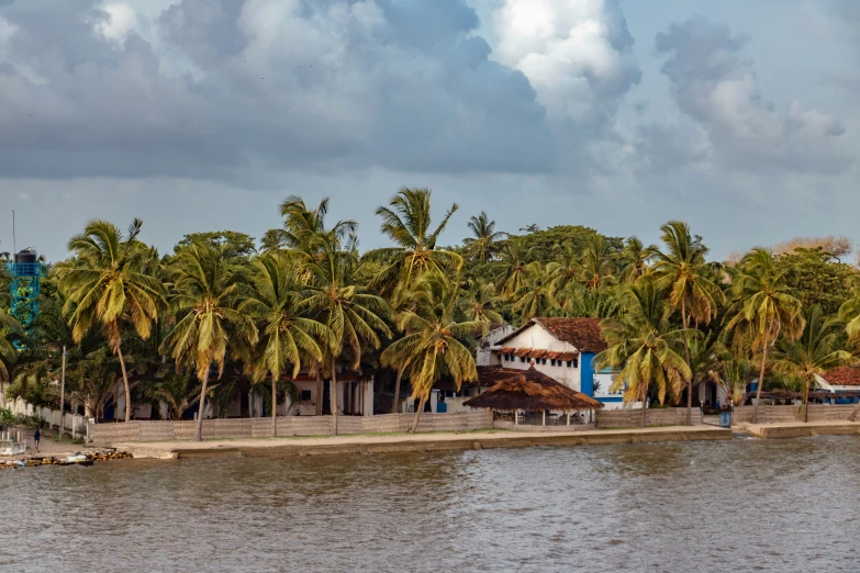 a body of water with palm trees and houses along it