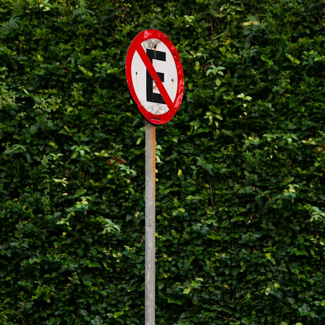 a do not enter sign in front of green bushes