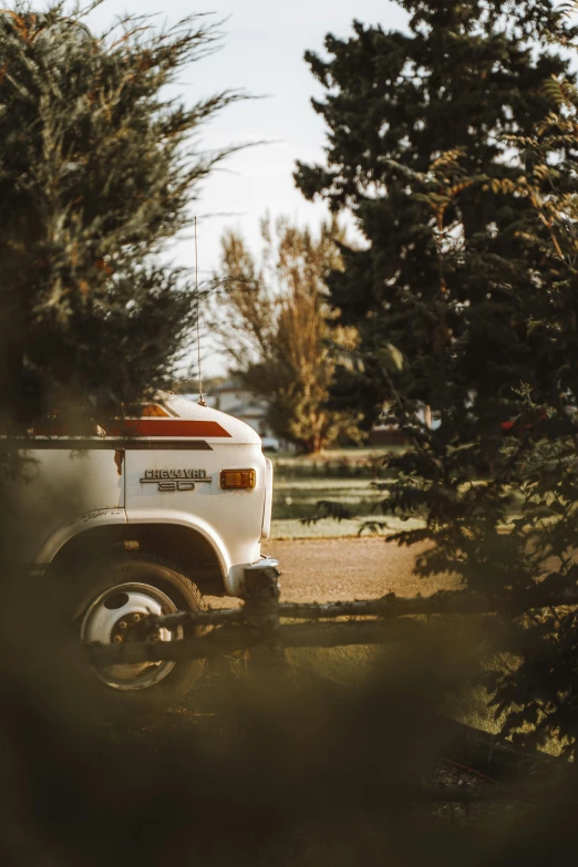 a white truck parked in a lot with trees