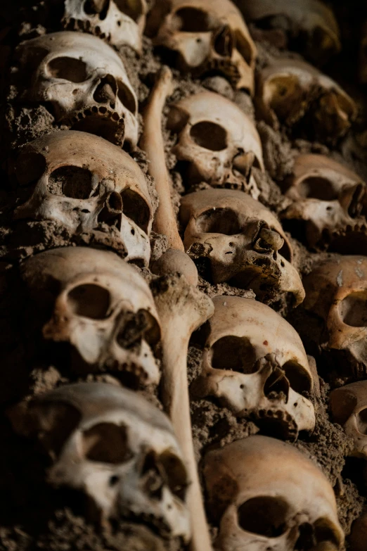 several rows of skulls all piled together in rows