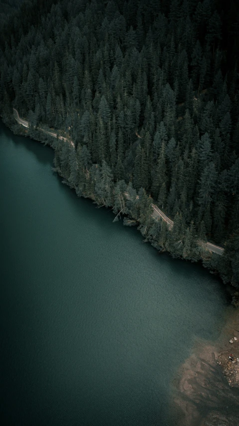 the bottom of an aerial s of a tree lined shoreline