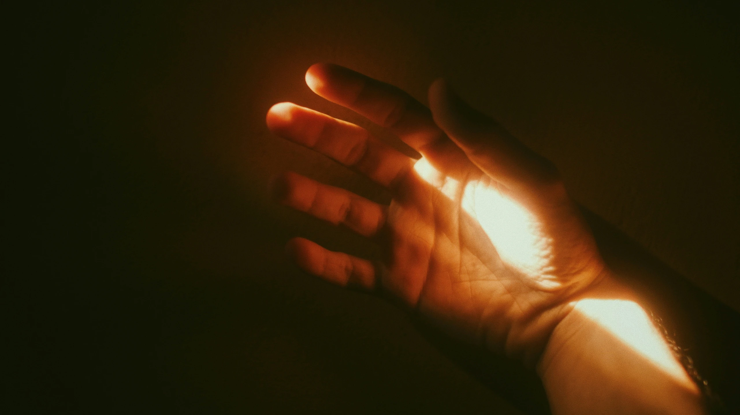 a hand holding an object in the sun