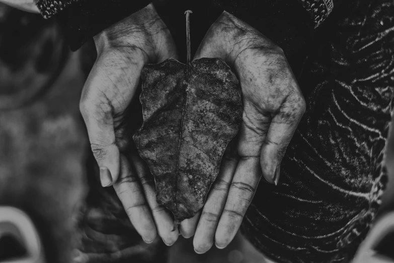 a man's hands holding a heart shaped rock