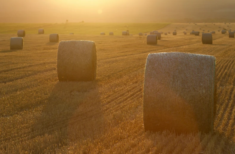 hay bales are shown in an open field during sunset