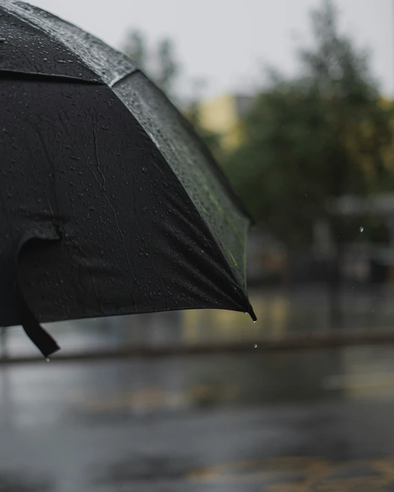 a black umbrella is hanging upside down