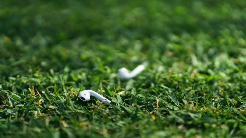 a couple of ear buds laying in the grass