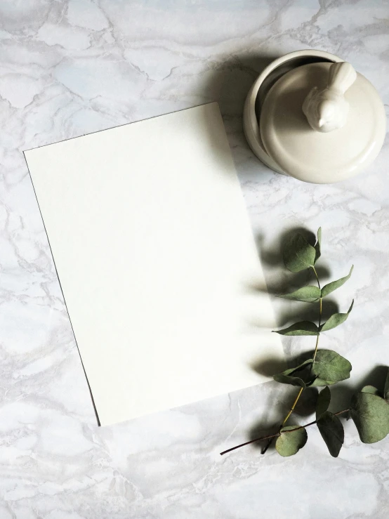 an empty sheet of paper is on a marble surface with plants