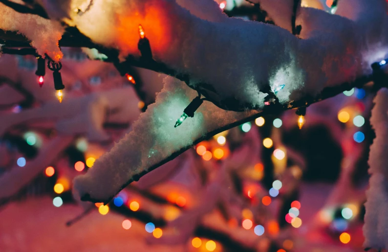 brightly colored lights decorate this tree at night