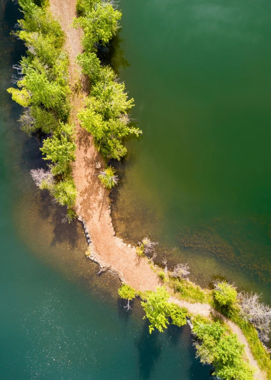 a tree lined shore with clear blue water