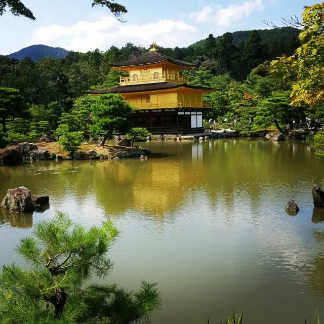 a view of a pond in the middle of some bushes and trees