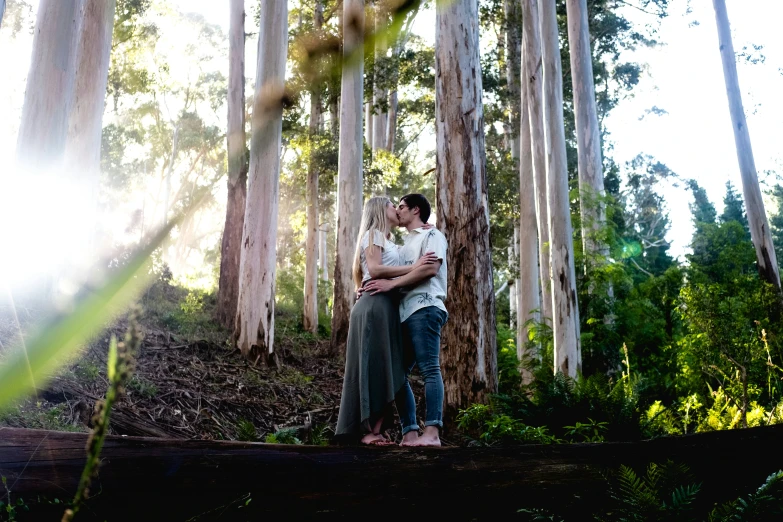 a couple hug in the middle of a forest as the sun shines