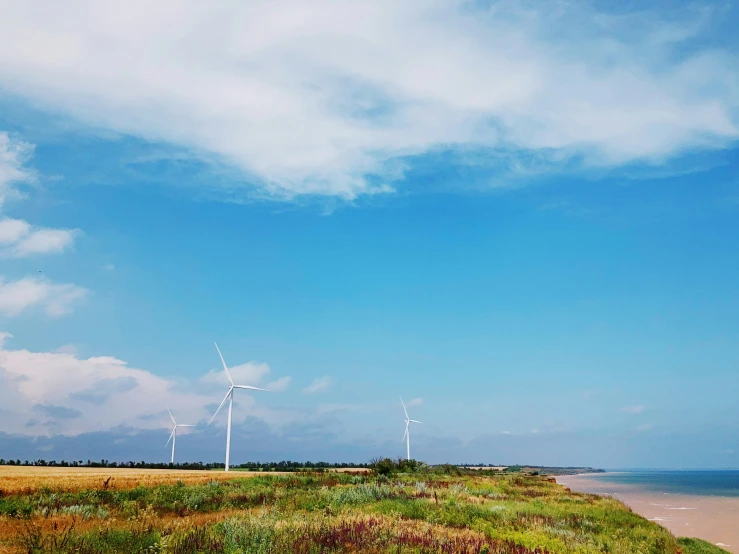 the coast is completely covered by vegetation and wind mills