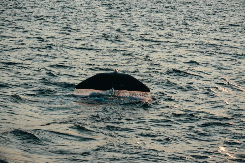 a person laying in the middle of water