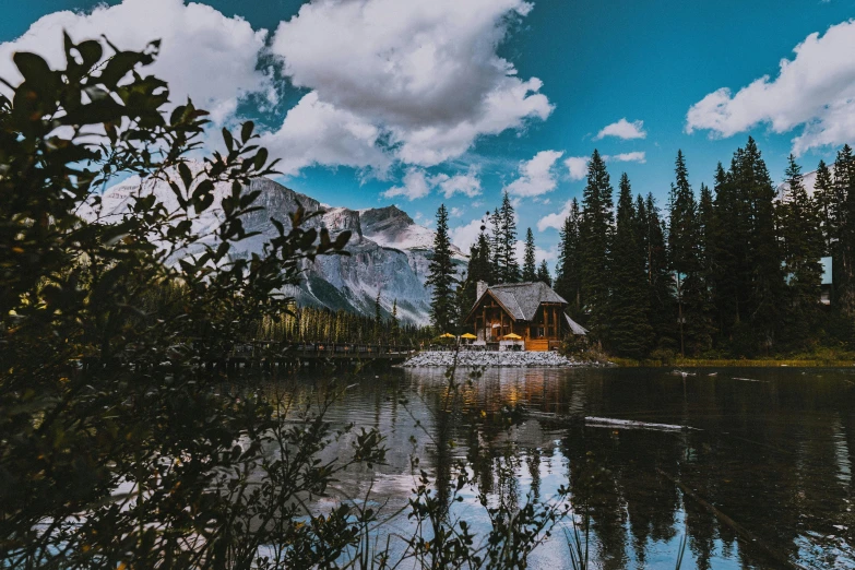 there is a small cabin in the trees by the water