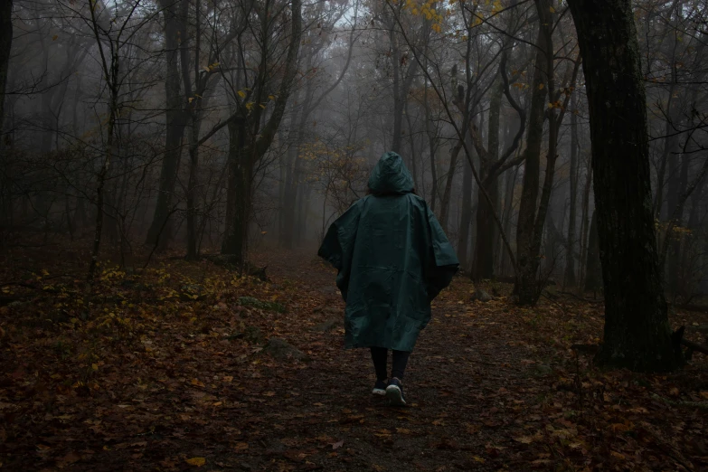 the hooded man is walking alone through the forest