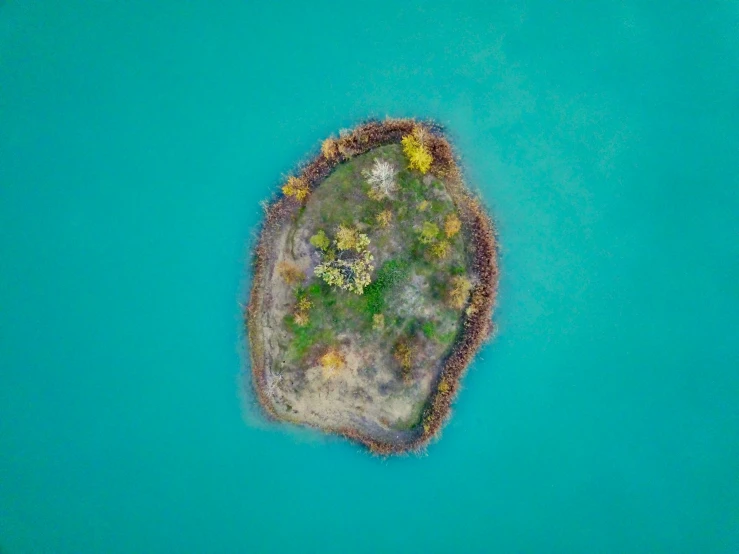 an island on the water with a yellow flower