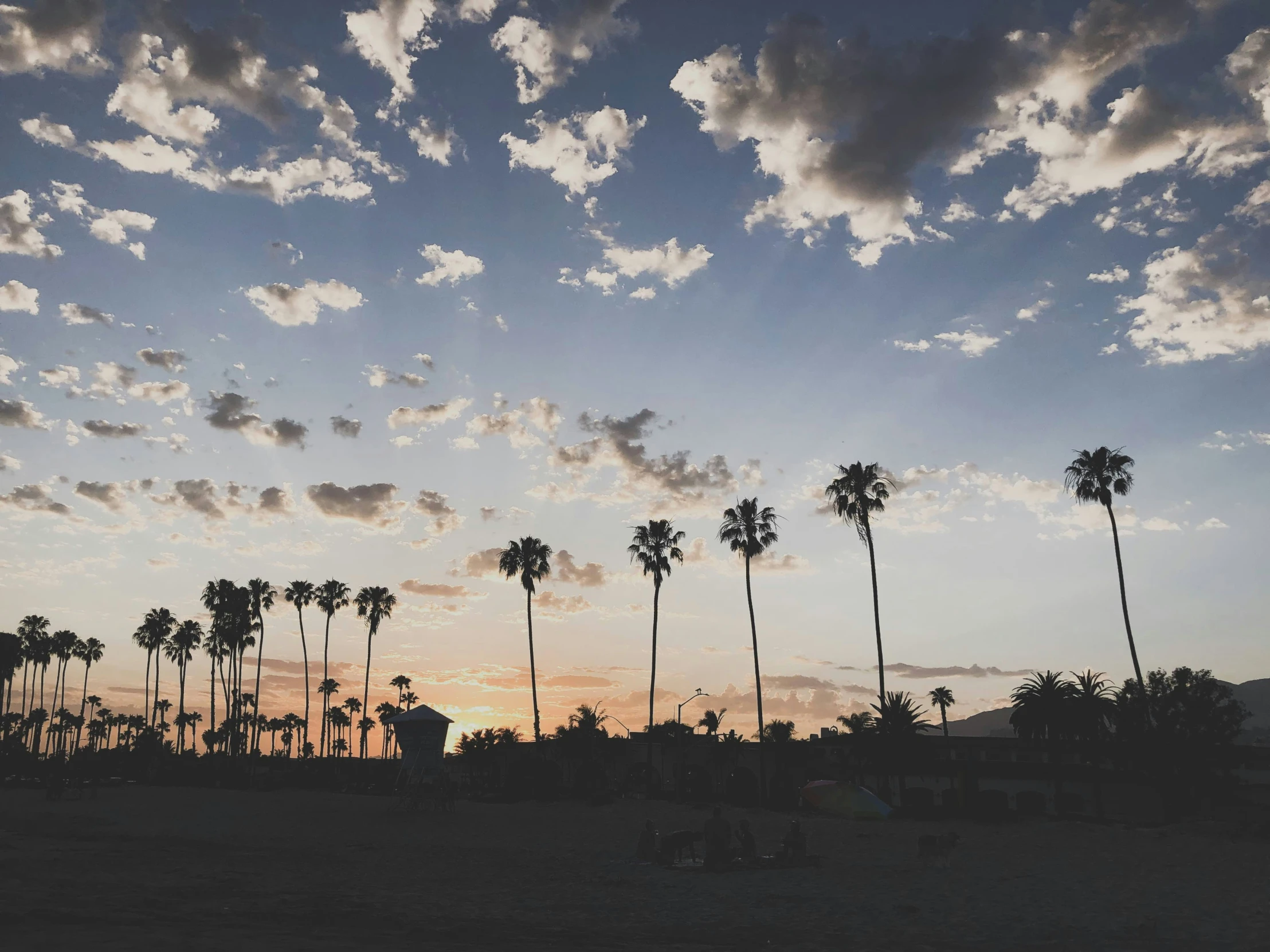 sunset at the beach with palm trees and people