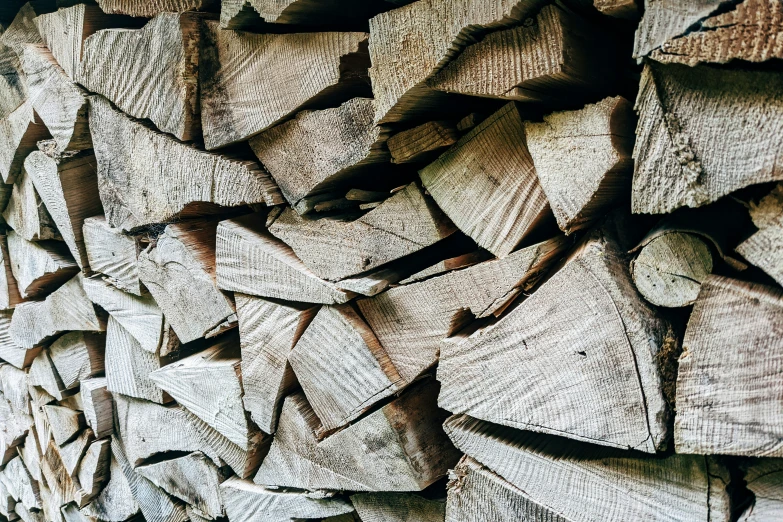 wood chips from the inside of a building