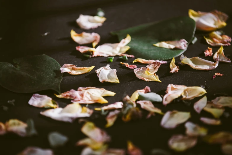 flower petals and leaves on a black table