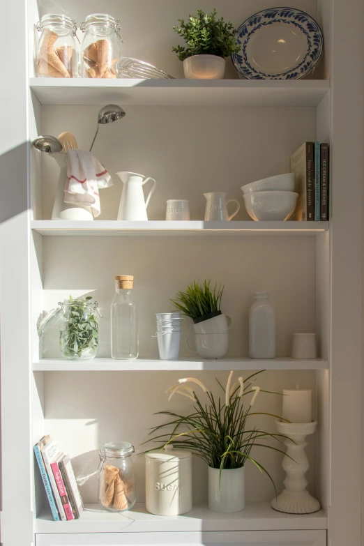 a shelf holding various plant items on it